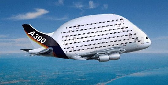 A390 IMAGE NO 1