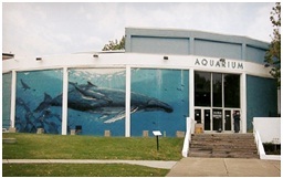Aquarium of Niagara Aquarium-of-Niagara